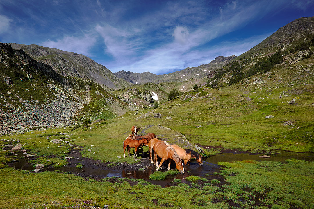 GRP DE ANDORRA