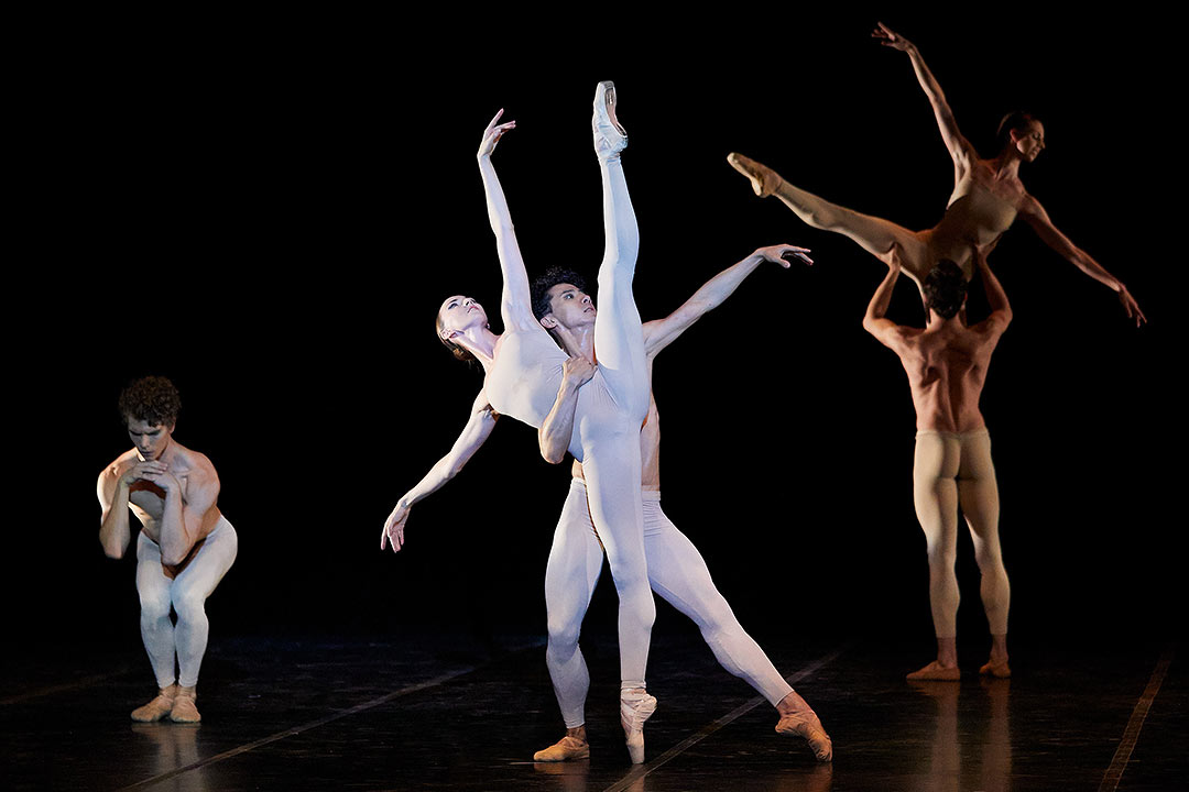 Fotografies d'espectacle de dansa, Toti Ferrer Fotògraf, Girona