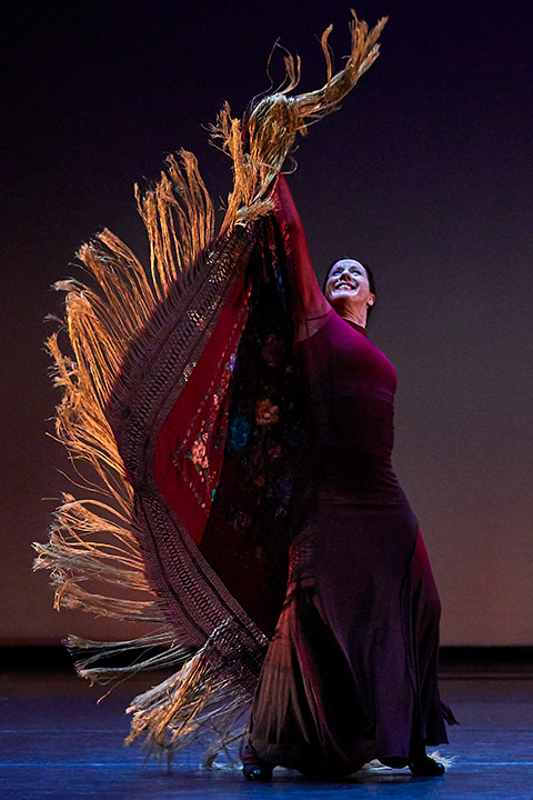 Fotografies de ballet flamenco, fotografies d'espectacle, Toti Ferrer Fotògraf, Girona