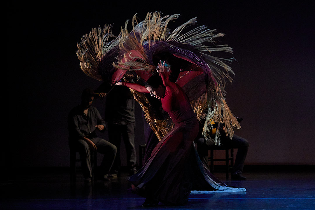Fotografías de ballet flamenco, fotografías de espectáculo, Toti Ferrer Fotògraf, Girona