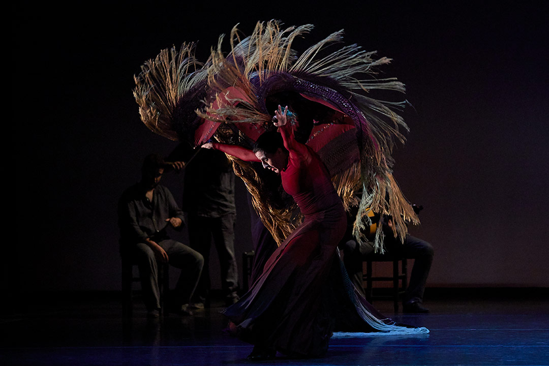 Photographs of ballet flamenco, photographs of show, Toti Ferrer Fotògraf, Girona