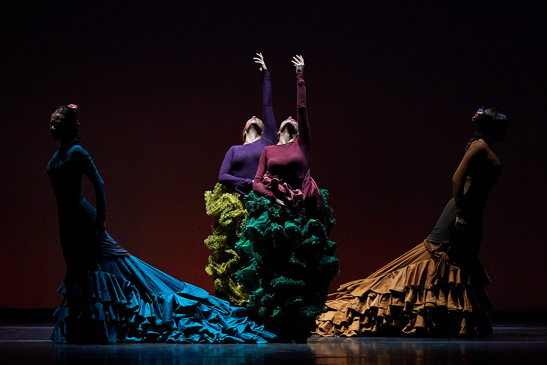 Fotografies de ballet flamenco, fotografies d'espectacle, Toti Ferrer Fotògraf, Girona
