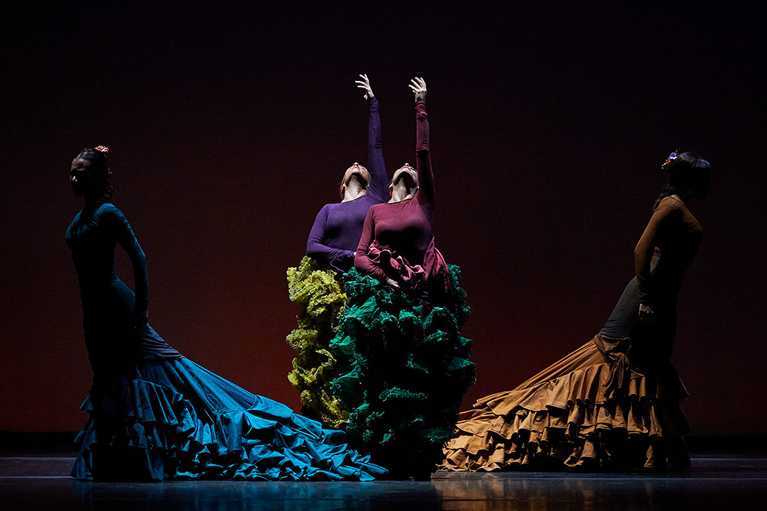 Fotografías de ballet flamenco, fotografías de espectáculo, Toti Ferrer Fotògraf, Girona