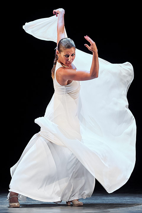 Ballet Flamenco Sara Baras